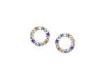 Circle of Colour Earrings