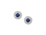 Cool Blue Earrings