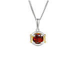 Compass Garnet Necklace
